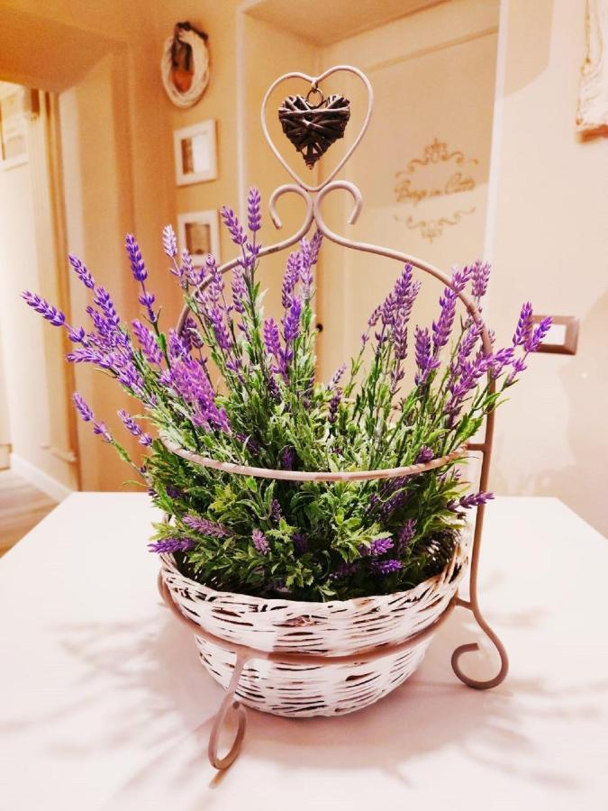 Borgo In Citta Apartman Pistoia Kültér fotó